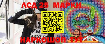 сатива Кулебаки