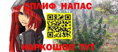 сатива Кулебаки