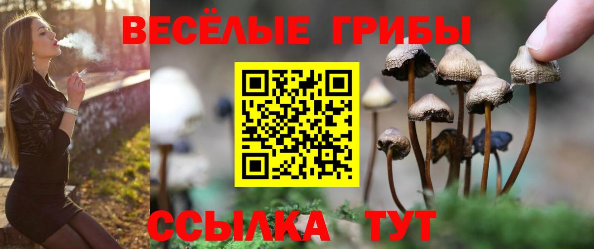 Ишим  Галлюциногенные грибы Psilocybe  Вход с VPN 